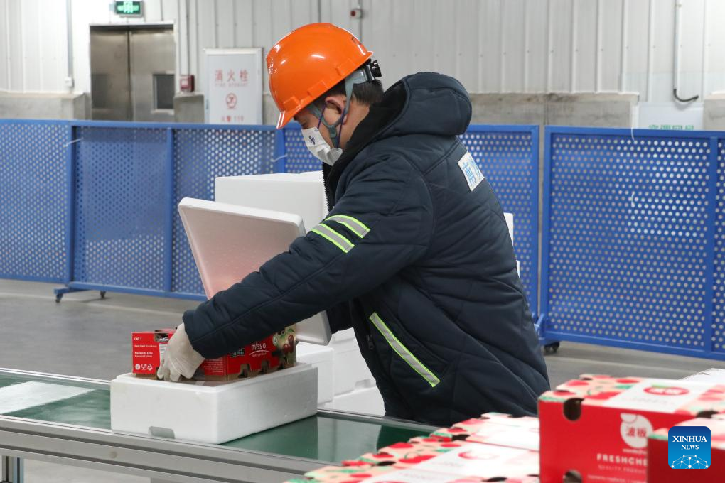 4.800 toneladas de cerezas chilenas enviadas a Guangzhou vía servicio Express-Xinhua