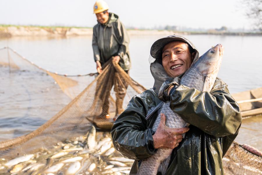 Economy&Life  Busy winter fish catching in central China's Hunan