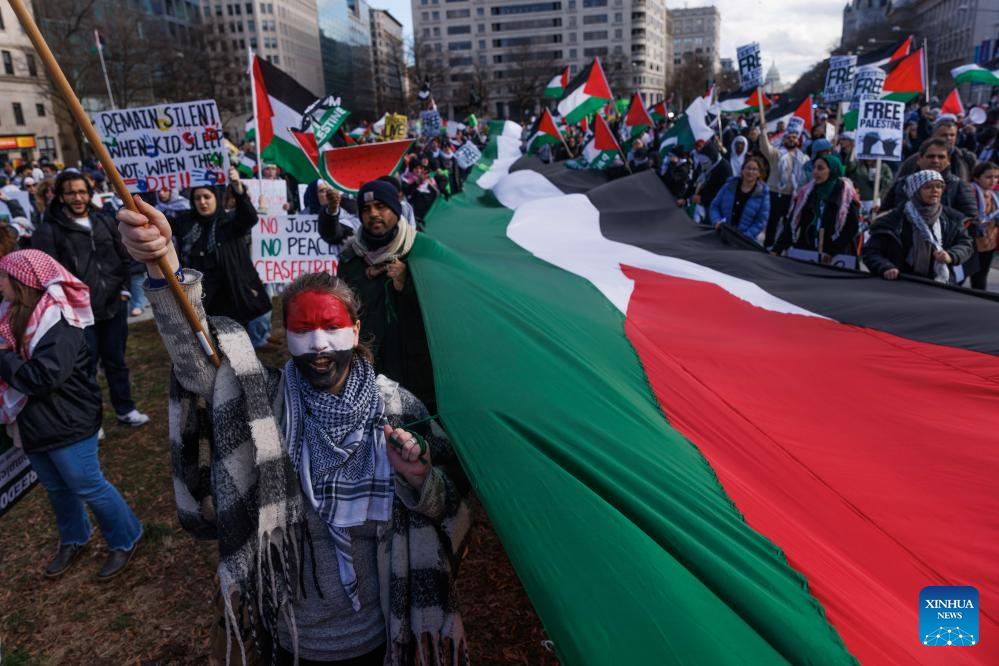 Protesters take part in pro-Palestinian march in Washington