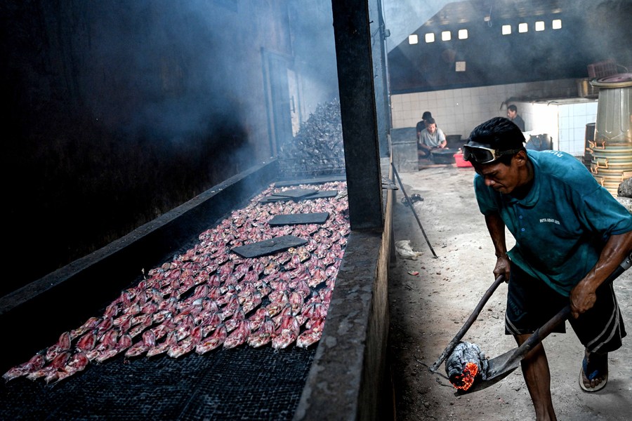 Membuat Irisan Ikan Lele Asap di Bogor, Indonesia-Xinhua