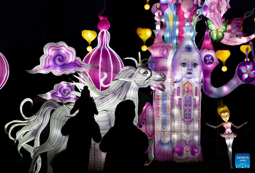 Chinese lanterns exhibited at Int'l Lantern Festival in Italy-Xinhua