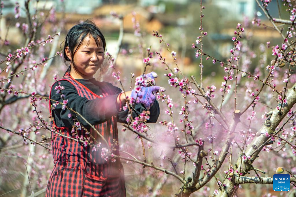 Farm work in full swing as China marks 