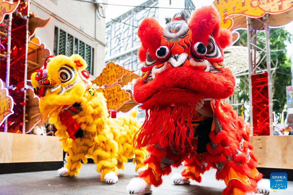 Australia's Sydney to throw 16-day party for Year of Dragon-Xinhua