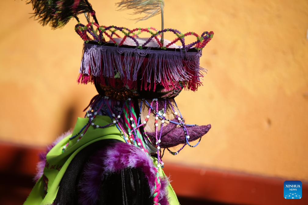 Celebran Carnaval de Xochimilco 2024 en México-Xinhua