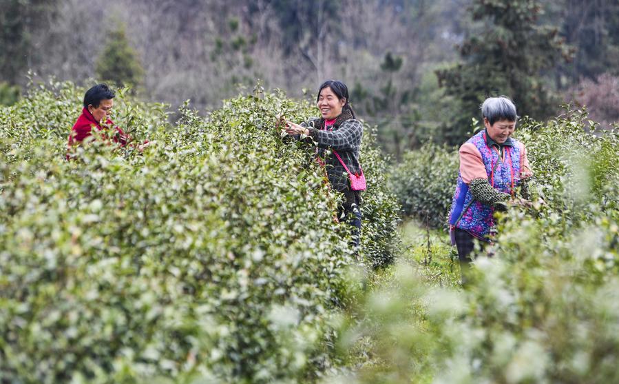 China to launch law popularization campaign aimed at rural women-Xinhua