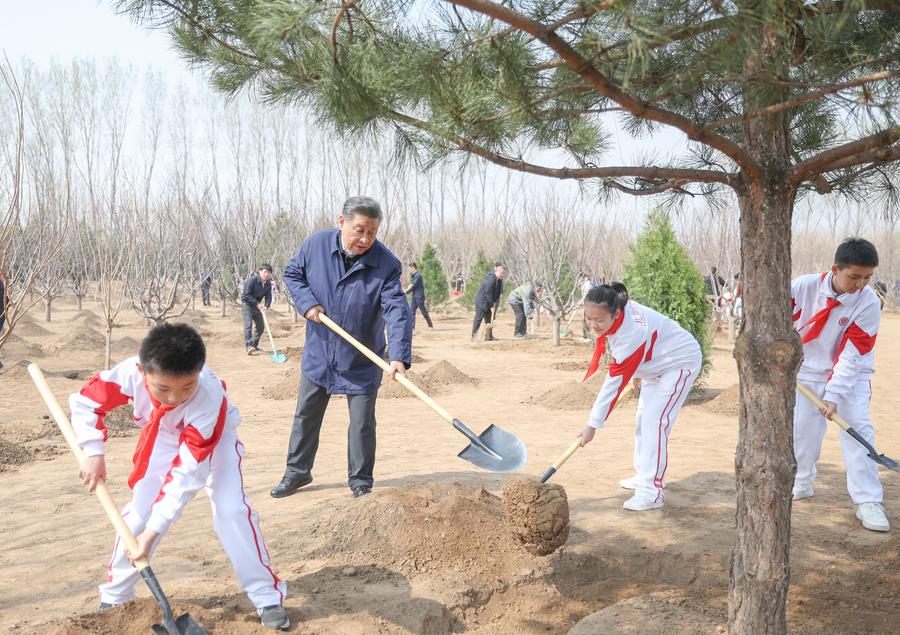 Xi Plants Trees in Beijing, Calling for Nationwide Reforestation Efforts for Beautiful China