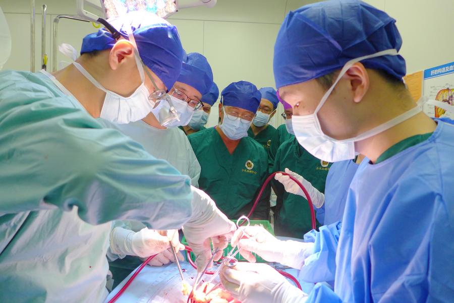 China Promotes Human Organ Donation, Transplantation-xinhua