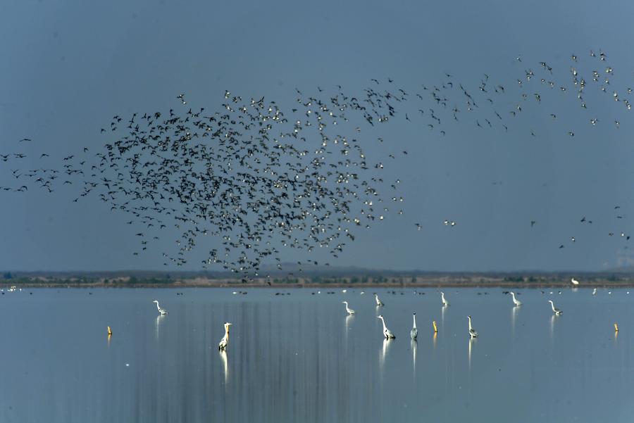 China's second-largest freshwater lake expands-Xinhua