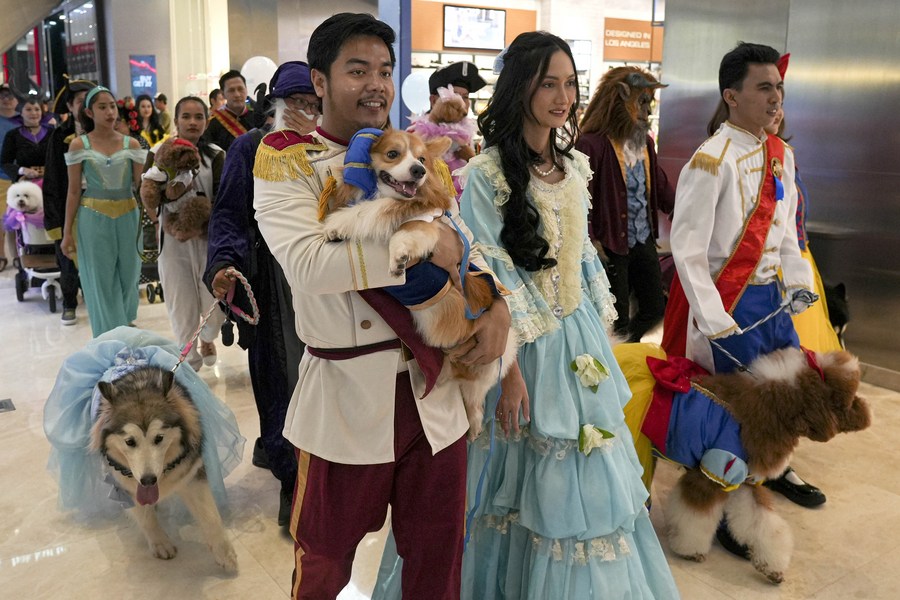 Pet Expo Menggembirakan Para Pecinta Anjing Indonesia – Xinhua