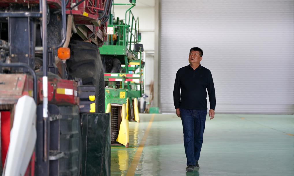 Xinhua Headlines Dedicated Farmers Power Xinjiang S Cotton Harvest Xinhua