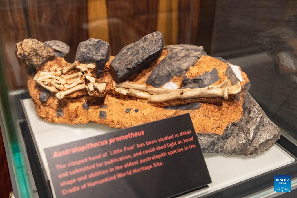 In Pics Cradle Of Humankind World Heritage Site In South Africa Xinhua In Pics Cradle Of Humankind World Heritage Site In South Africa Xinhua