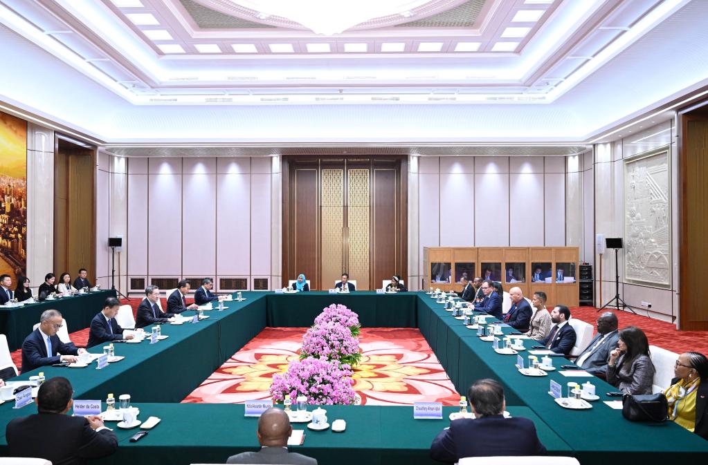 Chinese vice premier stresses global cooperation to address development ...