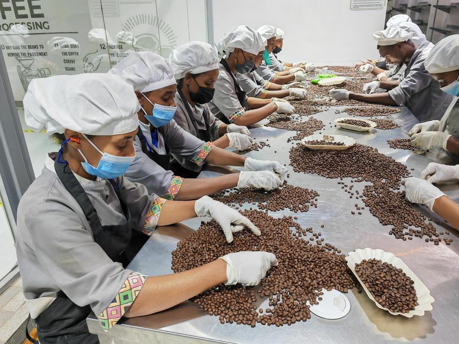 (Hello Africa) Ethiopia seeks value addition to tap coffee potential amid growing demand from China – Xinhua