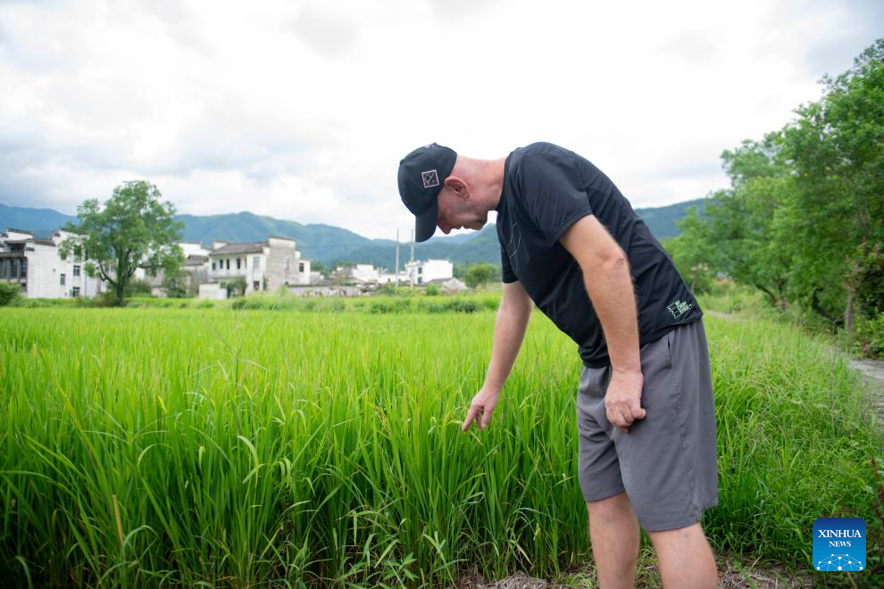 'Laowai' in China | Austrian's Ideal Life in Anhui: Embracing Rural China