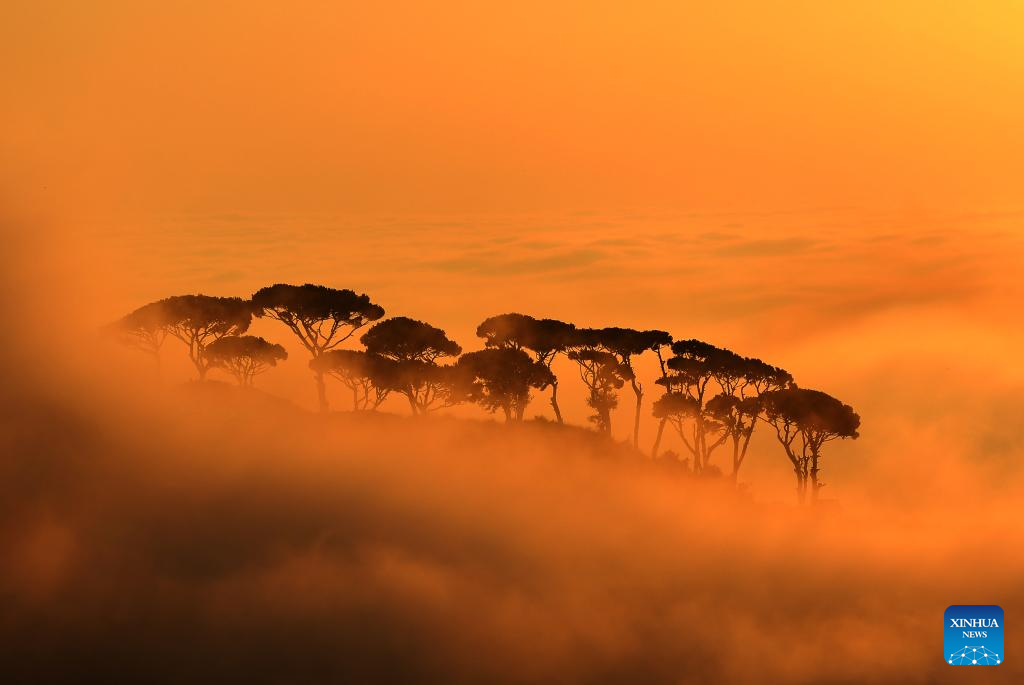 Xinhua Photos of the Day – Xinhua