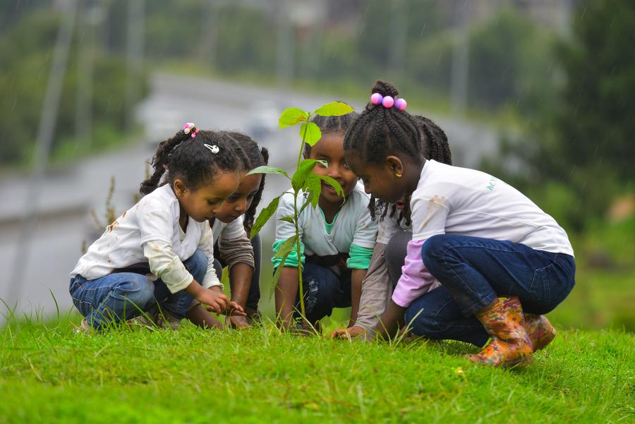 (Hello Africa) Ethiopia launches record-breaking tree planting campaign with 600 million trees in one day – Xinhua