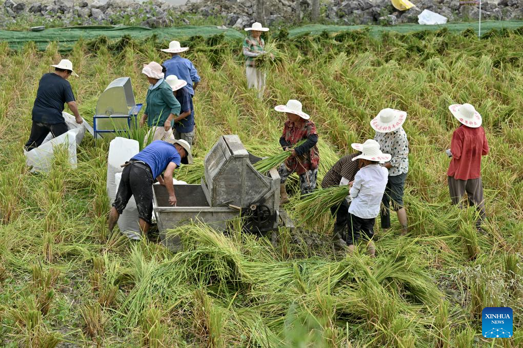 View of harvest across China-Xinhua