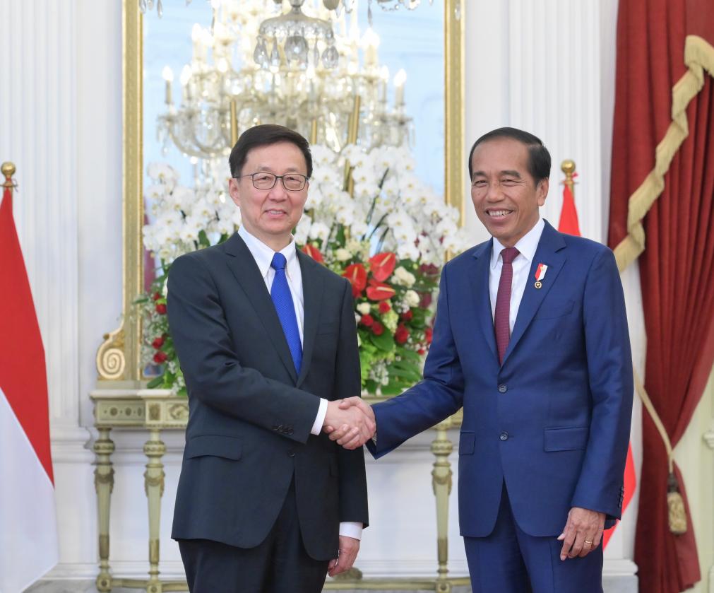 Wakil Presiden Tiongkok bertemu dengan Presiden Indonesia Joko Widodo-Xinhua