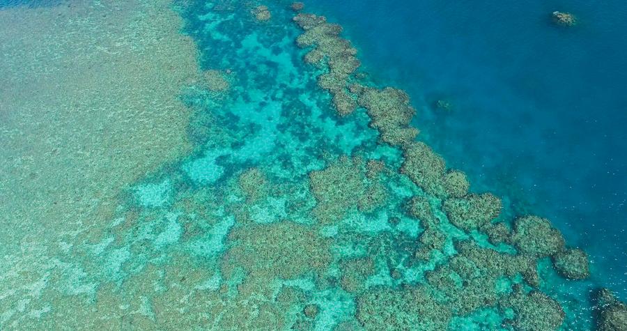 Studio: i modelli dei venti sono la causa principale dello sbiancamento della Grande Barriera Corallina australiana