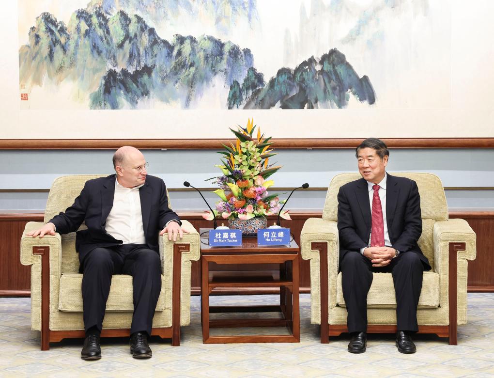 Foreign financial institutions welcome to invest in China: vice premier ...