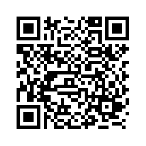 Soybean futures close lower-Xinhua