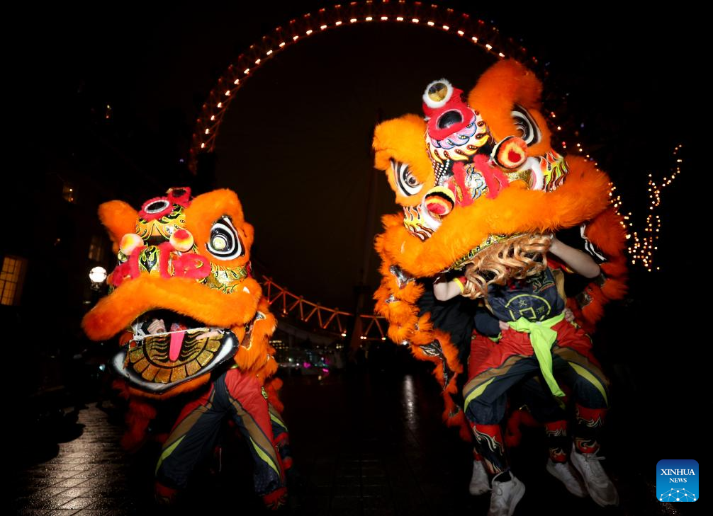 chinese new year dragon eye