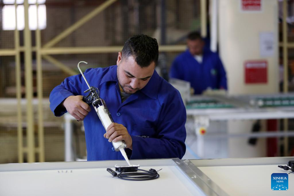 Interview: China's solar products, technology fuel Egypt's renewable ...