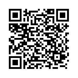 Soybean futures close higher-Xinhua