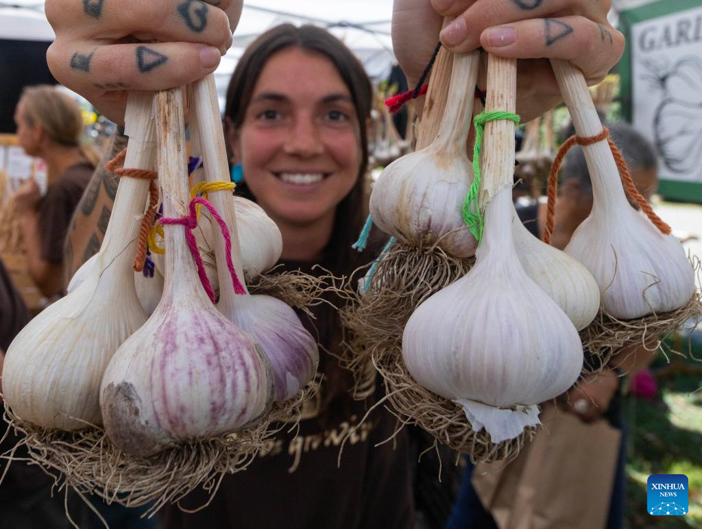 News about - Canada holds 14th Toronto Garlic Festival 