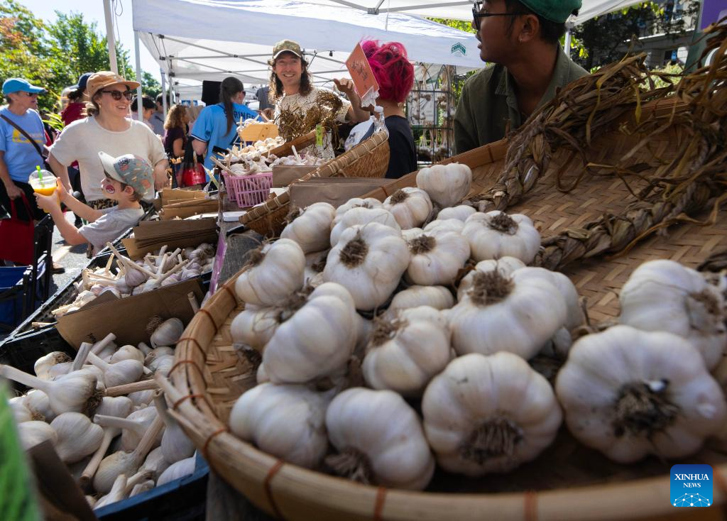 News about - Canada holds 14th Toronto Garlic Festival 