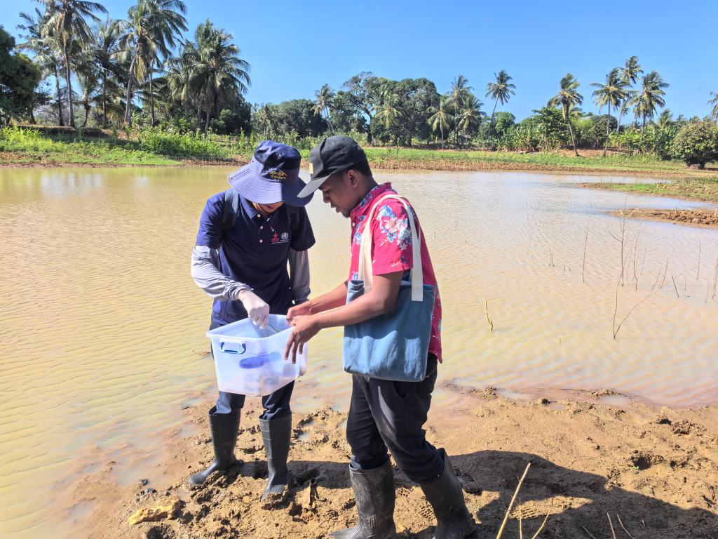Chinese experts help Zanzibar create 1st map to combat schistosomiasis – Xinhua