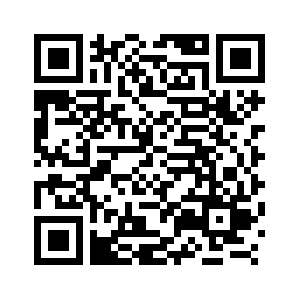 Ice-and-snow tourism scenic area opens in NE China-Xinhua