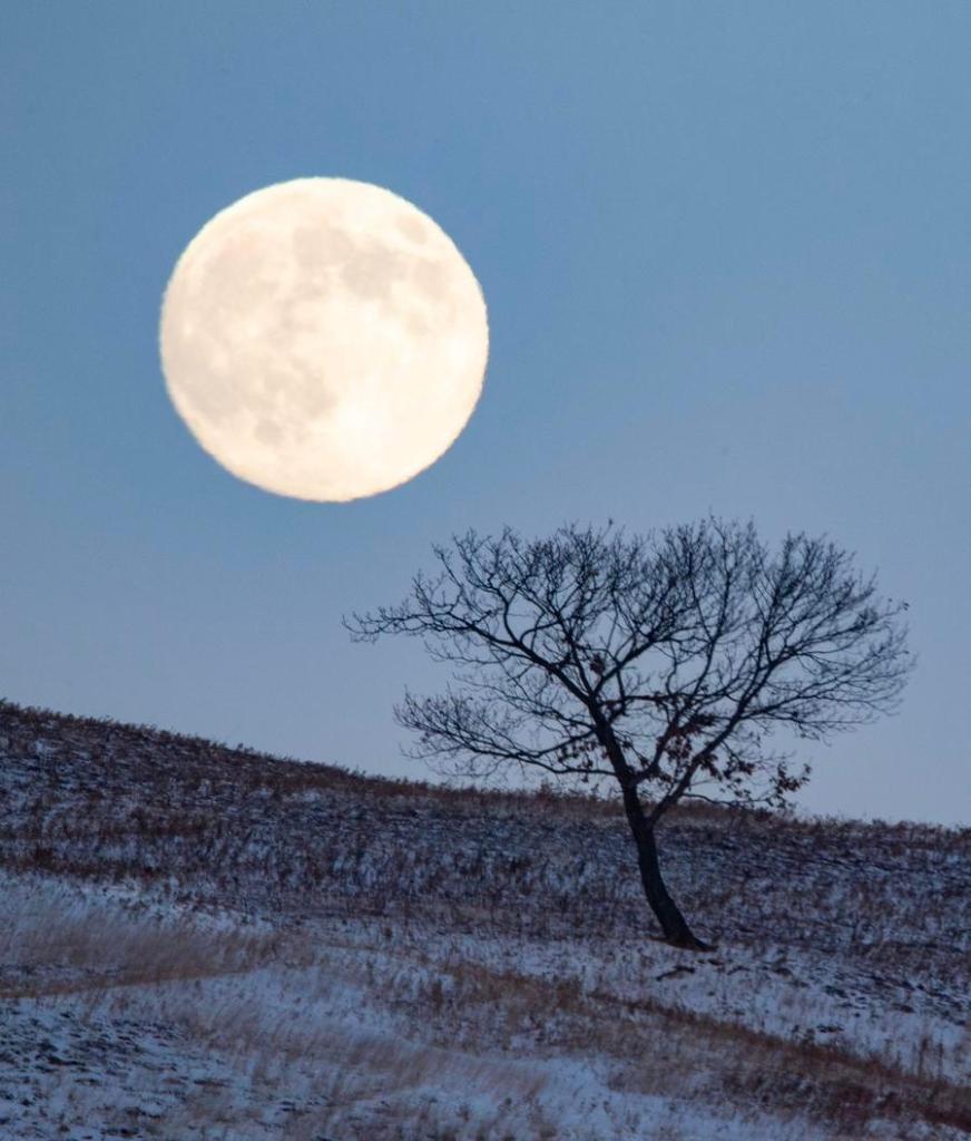 Lunar observers to see second-largest full moon of the year in a