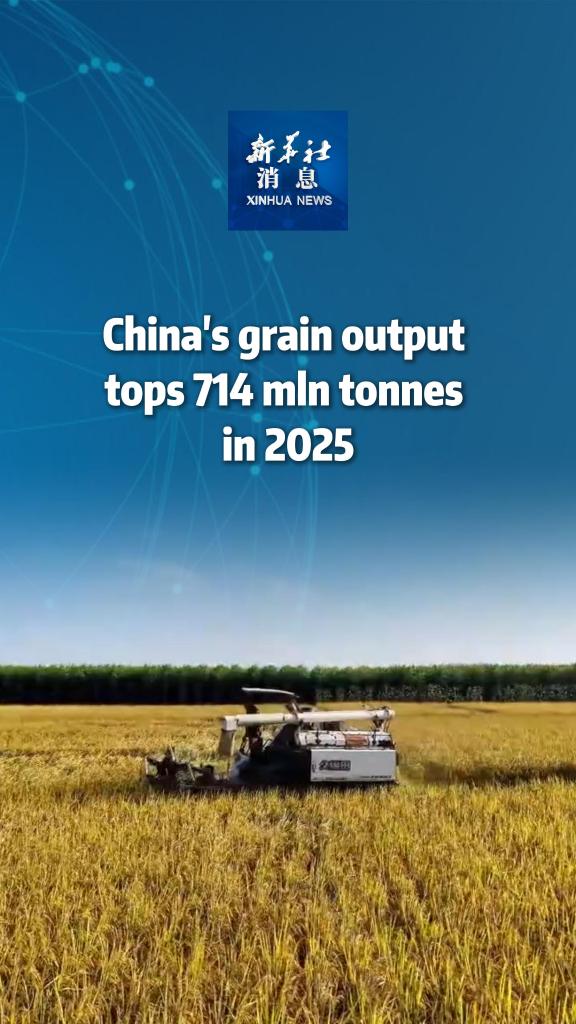 Xinhua News | China's grain output tops 714 mln tonnes in 2025