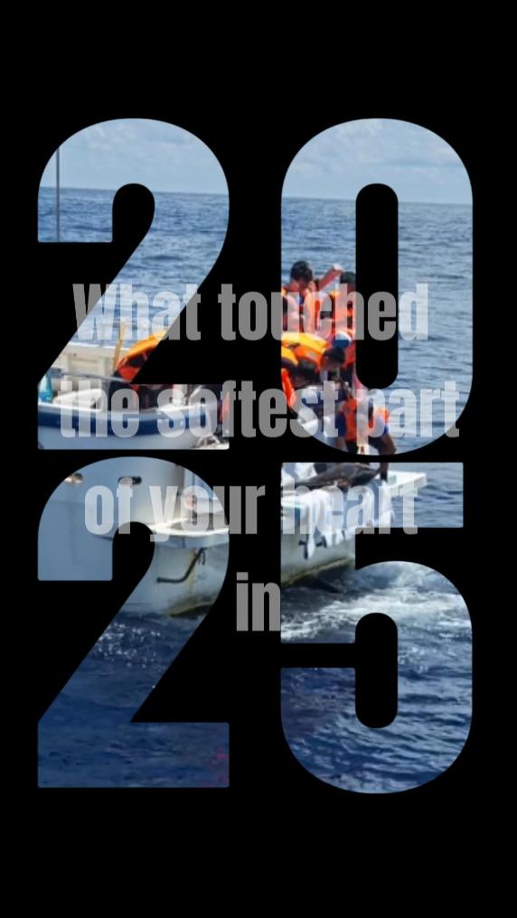 2025 Rewind: Heartwarming moments that connected us all