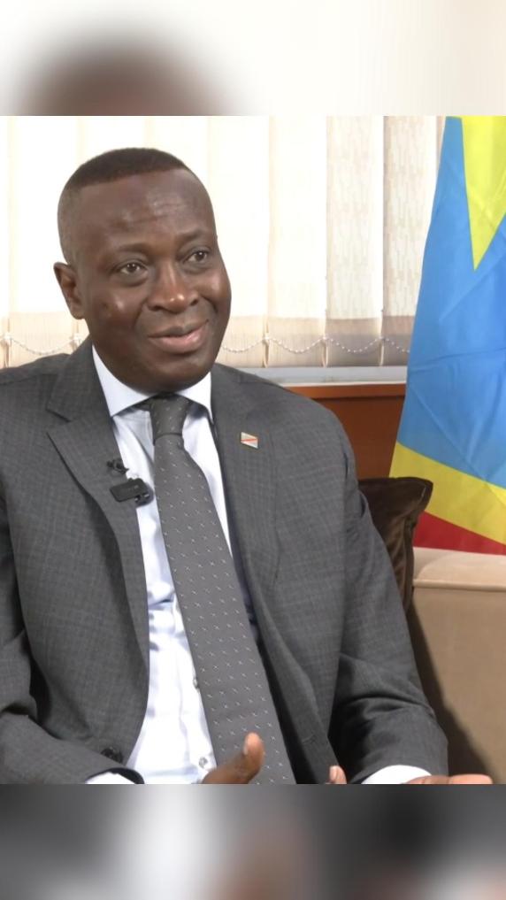 GLOBALink | Ties with China remain robust: DRC vice PM
