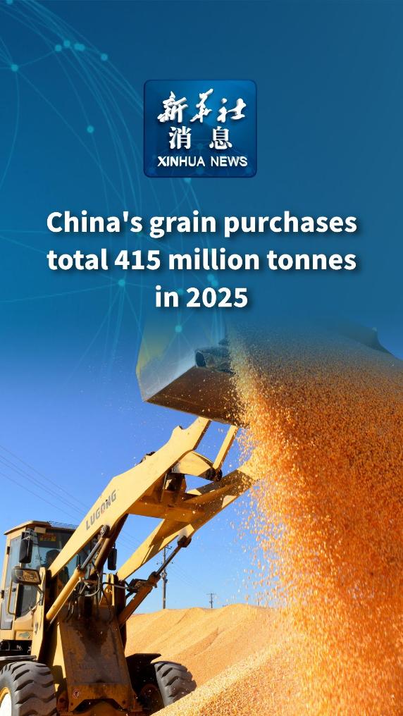 Xinhua News | China's grain purchases total 415 million tonnes in 2025