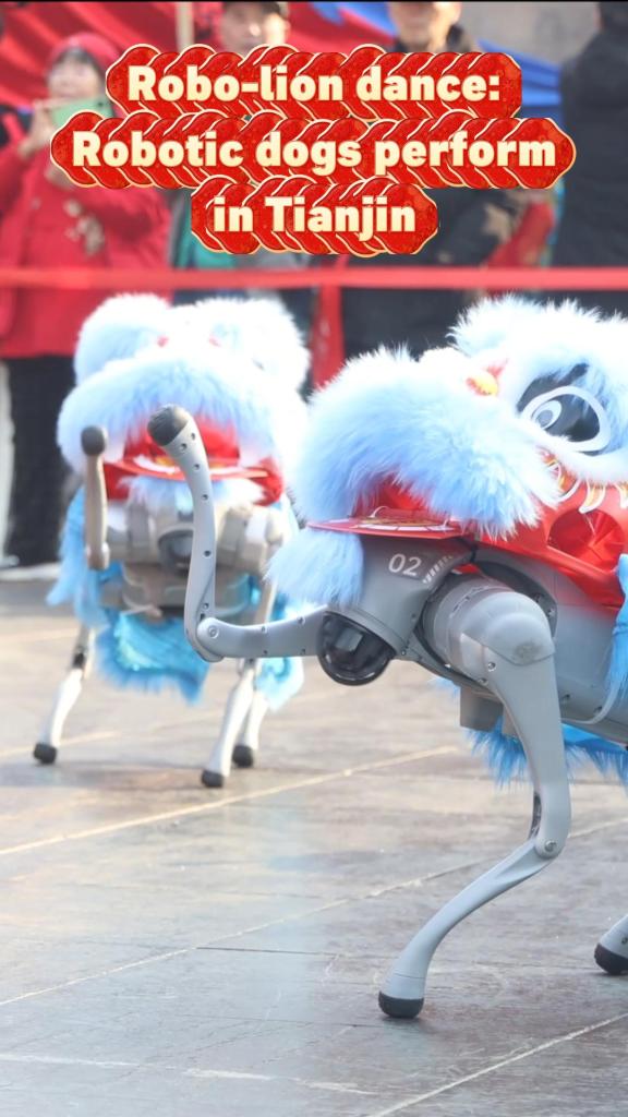 Robo-lion dance: Robotic dogs perform in Tianjin