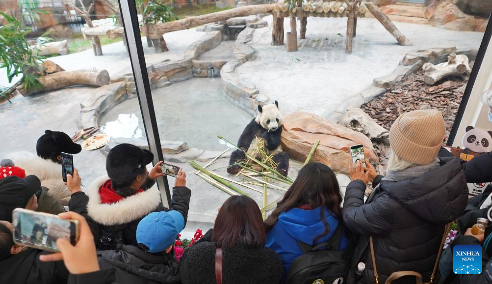 China sees booming cultural and tourism consumption during Spring Festival