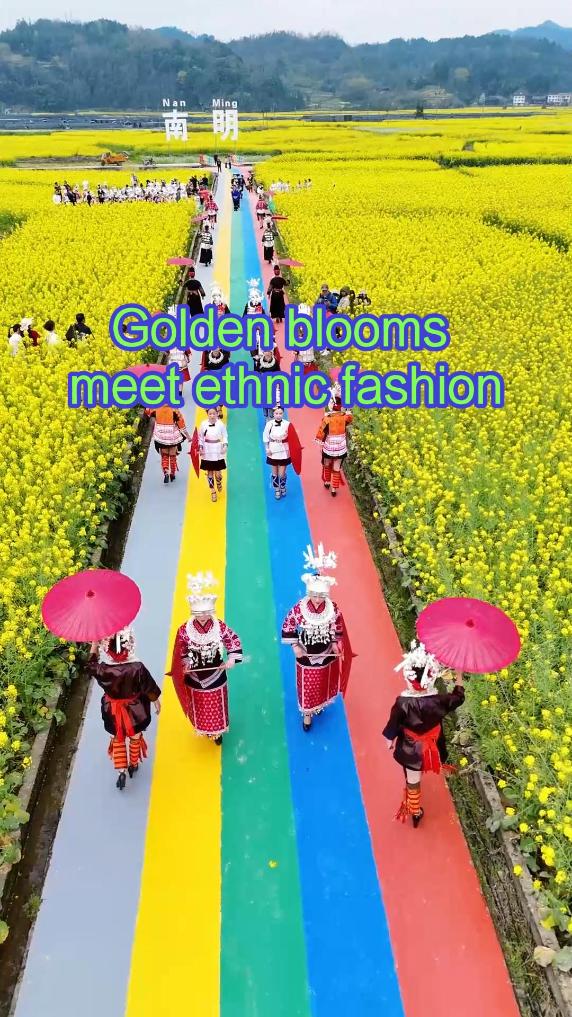 Ethnic costume fashion show held amid golden sea of flowers in China's Guizhou