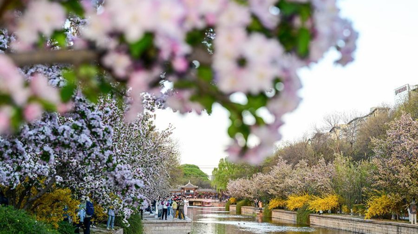 Ethiopia bets big on e-mobility amid state-led expanding charging network - Xinhua