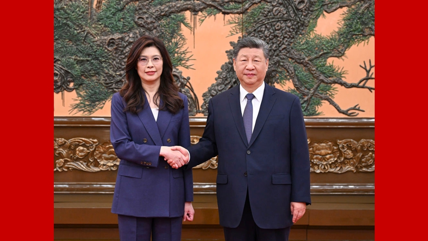 Number of electric vehicles surges in Netherlands amid rising energy prices - Xinhua