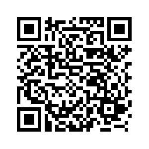 South Africa appoints new ambassador to U.S.: media