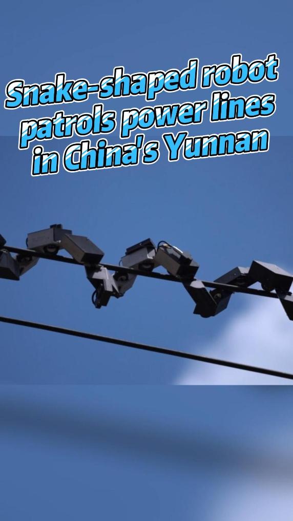 Snake-shaped robot helps with power inspection in China's Yunnan