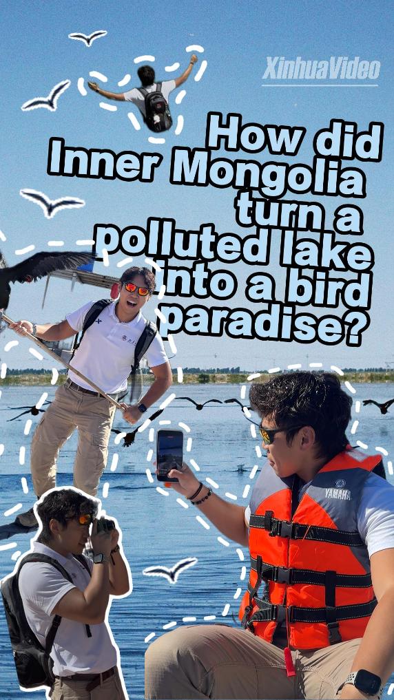Inner Side Out | How did Inner Mongolia turn a polluted lake into a bird paradise?
