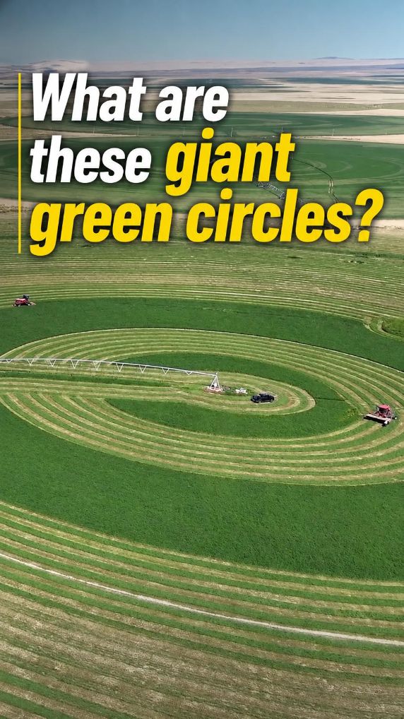What are these giant green circles?