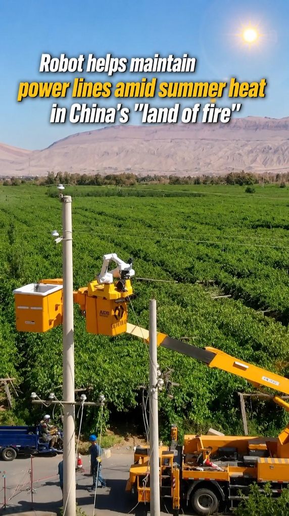 Robot helps maintain power lines amid summer heat in China's Xinjiang