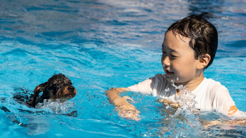 South Korea severe weather reaches record 42.5°C in Yangsan