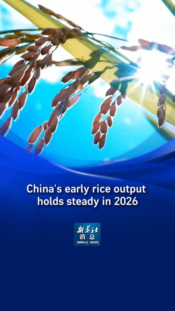 Xinhua News | China's early rice output holds steady in 2026