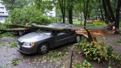 Latvia Severe Weather Leaves 191,000 Households Without Power After Strongest Summer Storm Since 1966